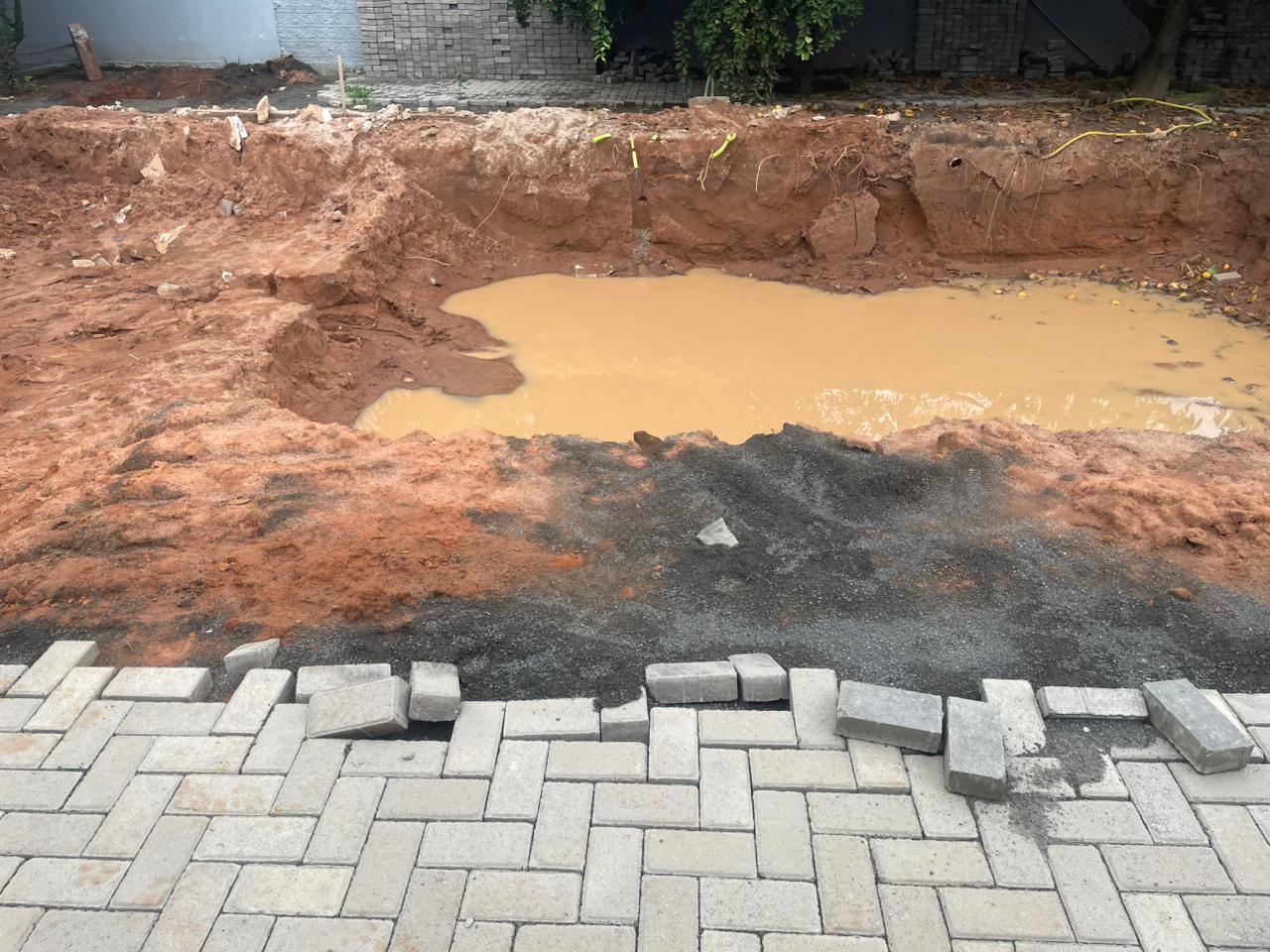 Imagem do WhatsApp de 2025-01-14 à(s) 17.44.20_a7eb0cf4.jpg